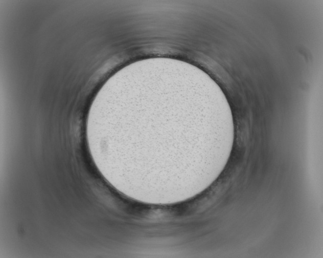 X0000113780111200910211214
