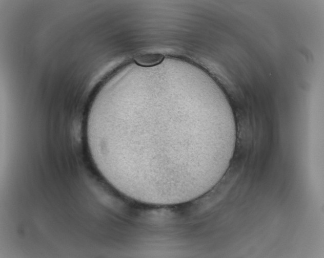 X0000113780112200910211214