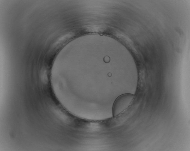 X0000113780114200910211214