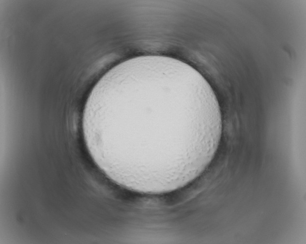 X0000113780115200910211214