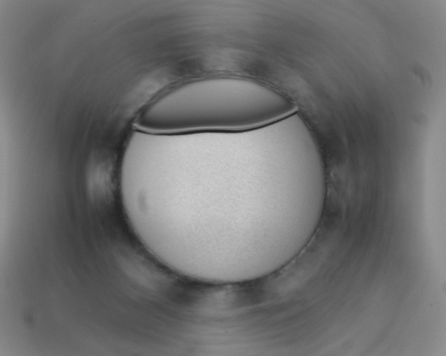 X0000113780116200910211214