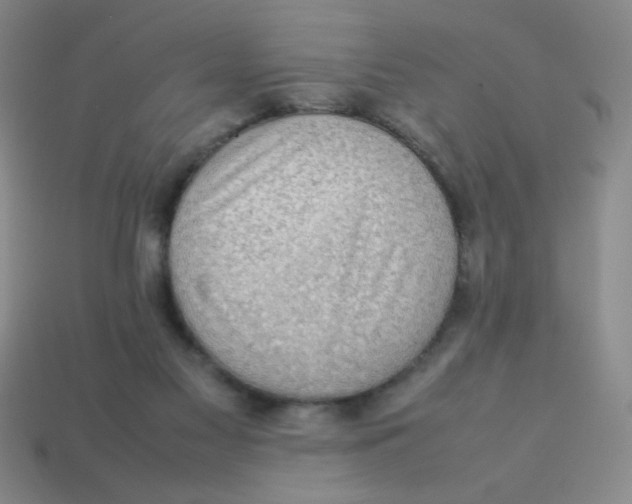 X0000113780117200910211214