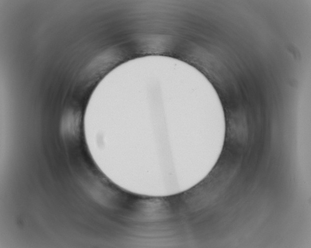 X0000113780118200910211214