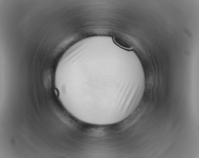 X0000113780120200910211214