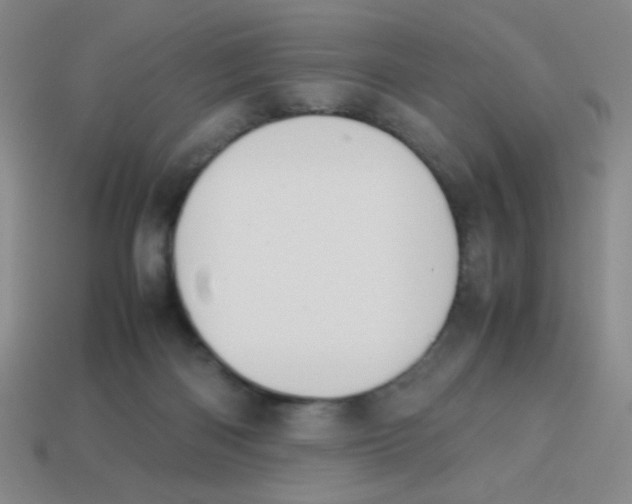 X0000113780122200910211214