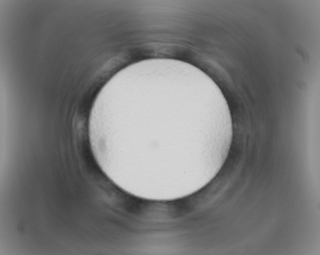 X0000113780123200910211214