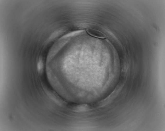 X0000113780124200910211214
