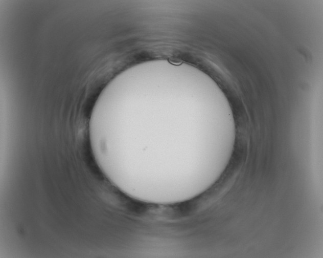 X0000113780125200910211214
