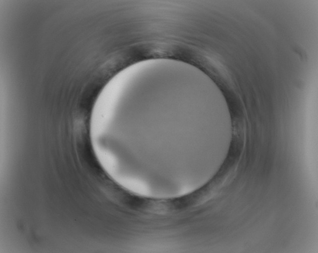 X0000113780127200910211214