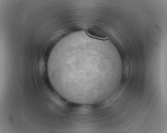X0000113780128200910211214