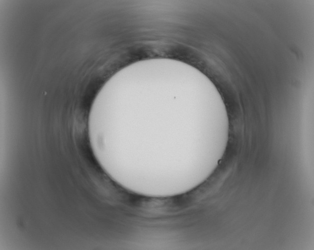 X0000113780129200910211214