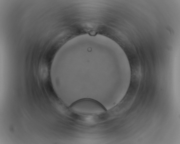 X0000113780130200910211214