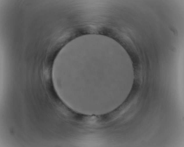 X0000113780131200910211214