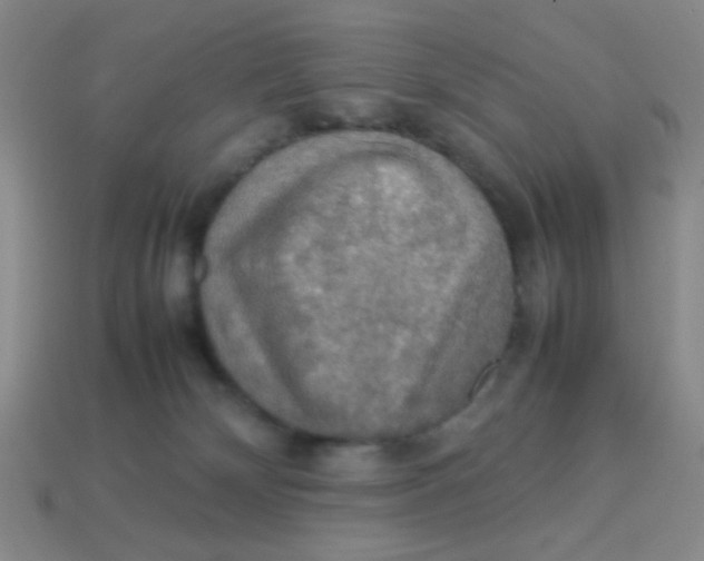 X0000113780132200910211214