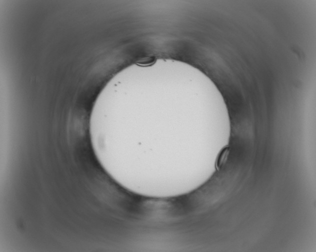 X0000113780133200910211214