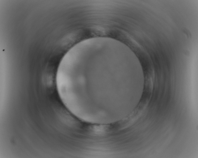 X0000113780134200910211214