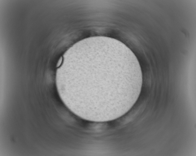 X0000113780135200910211214