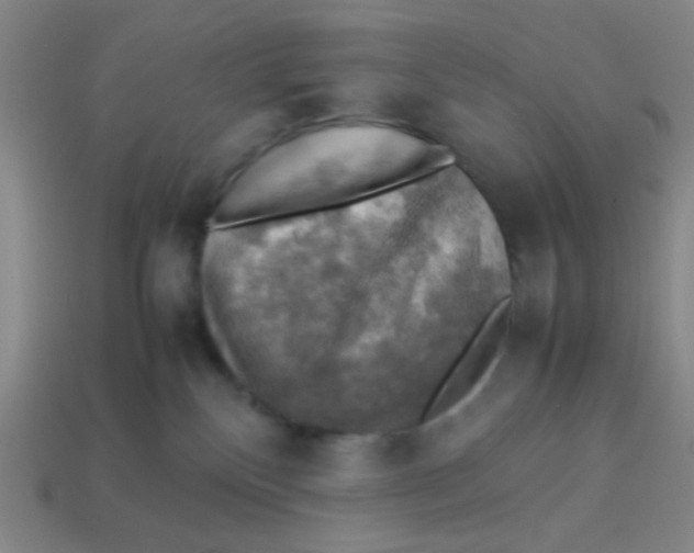 X0000113780136200910211214