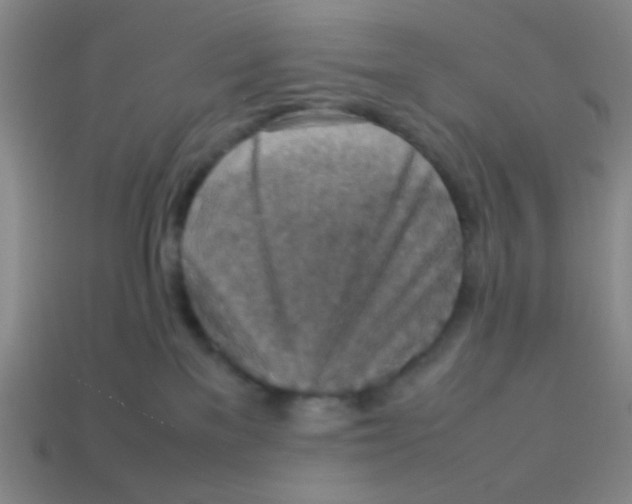 X0000113780137200910211214