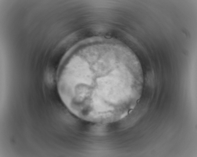 X0000113780138200910211214
