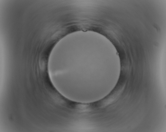 X0000113780139200910211214