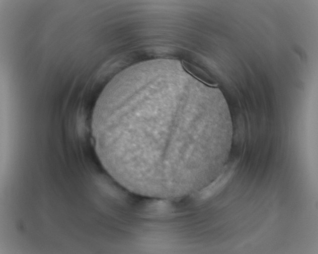 X0000113780140200910211214