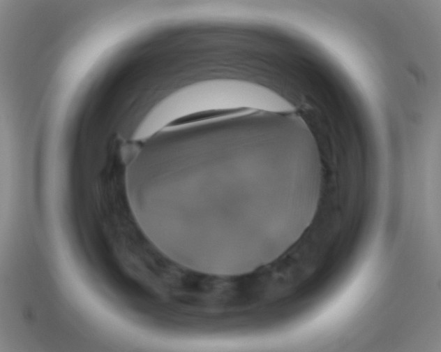 X0000113780143200910211214