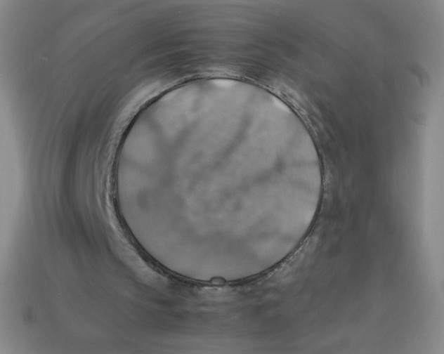 X0000113780145200910211213