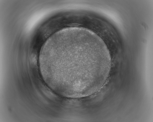 X0000113780146200910211213