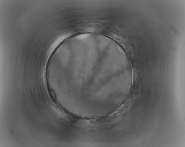 X0000113780147200910211213