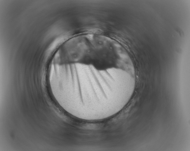 X0000113780149200910211213