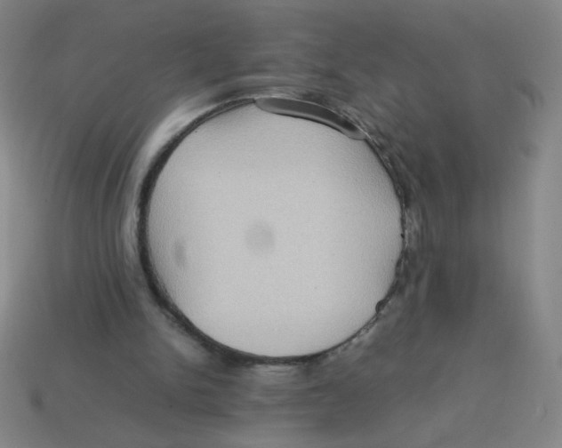 X0000113780150200910211213