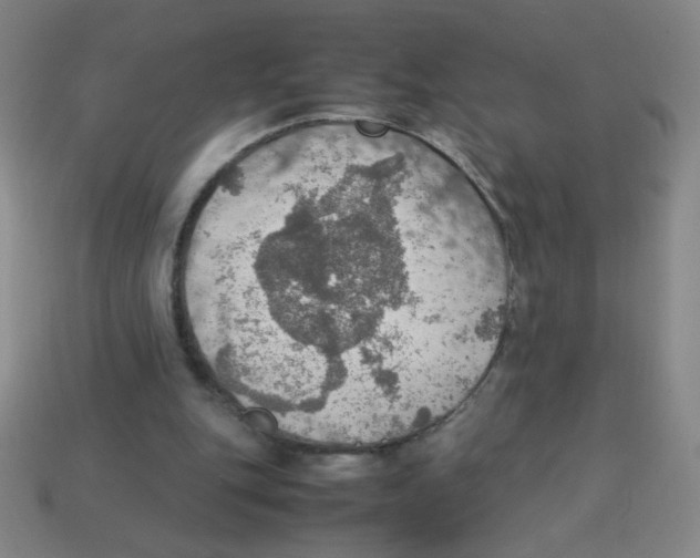X0000113780151200910211213