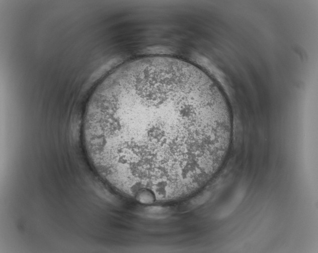 X0000113780153200910211213