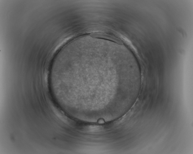 X0000113780154200910211213