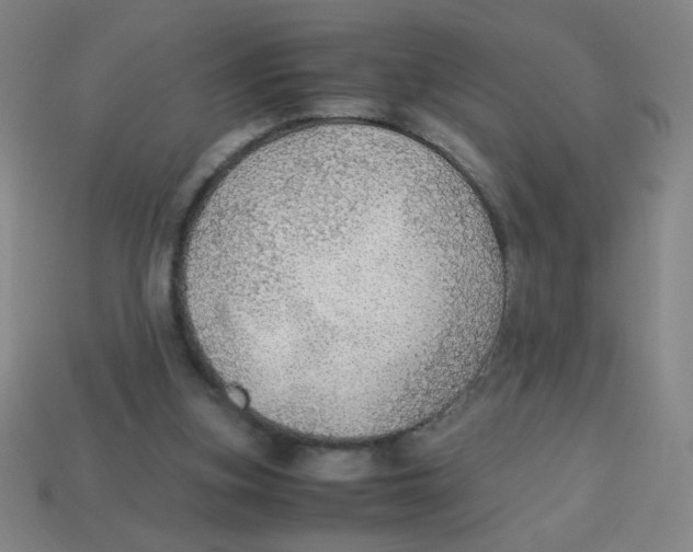 X0000113780155200910211213