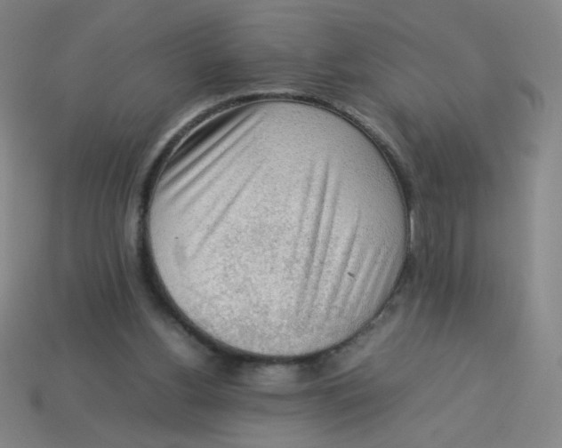 X0000113780156200910211213