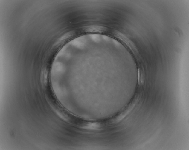 X0000113780157200910211213