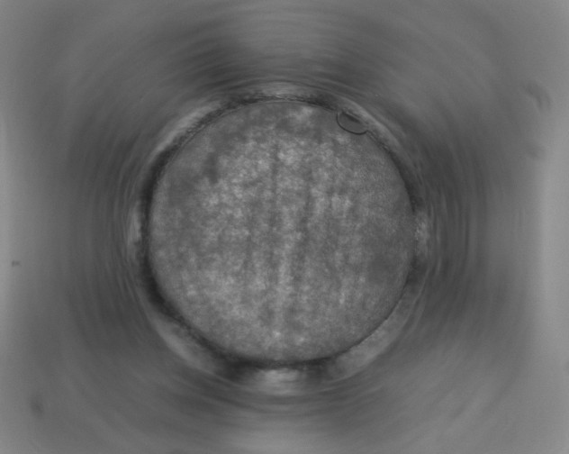 X0000113780158200910211213