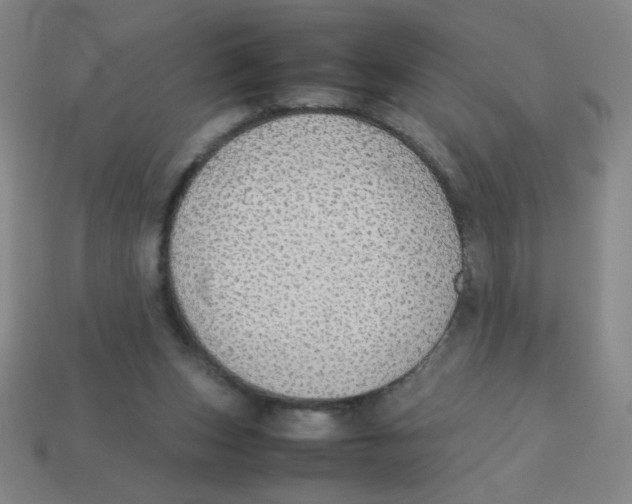 X0000113780159200910211213