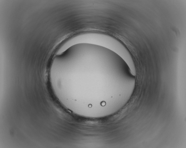 X0000113780160200910211213