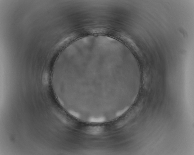 X0000113780161200910211213
