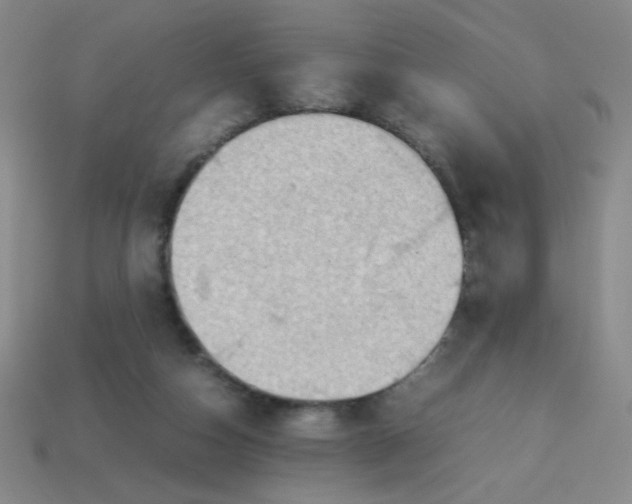 X0000113780162200910211213
