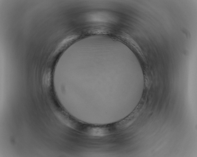 X0000113780163200910211213