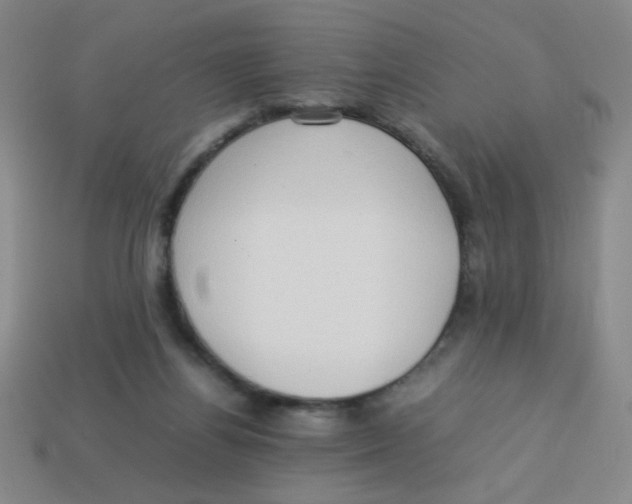 X0000113780164200910211213