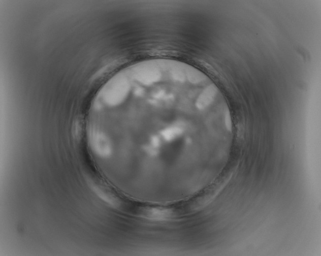 X0000113780165200910211213