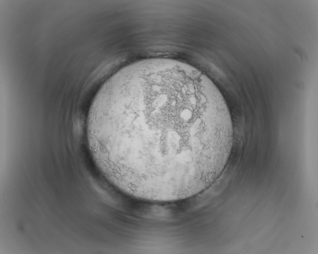 X0000113780166200910211213