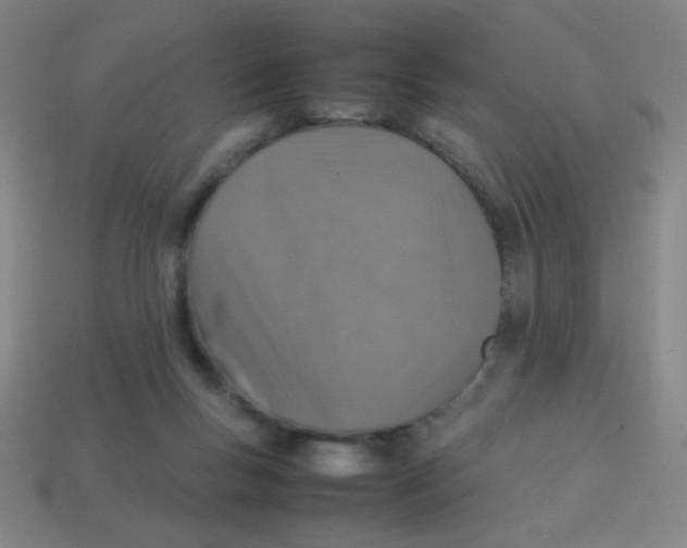 X0000113780167200910211213