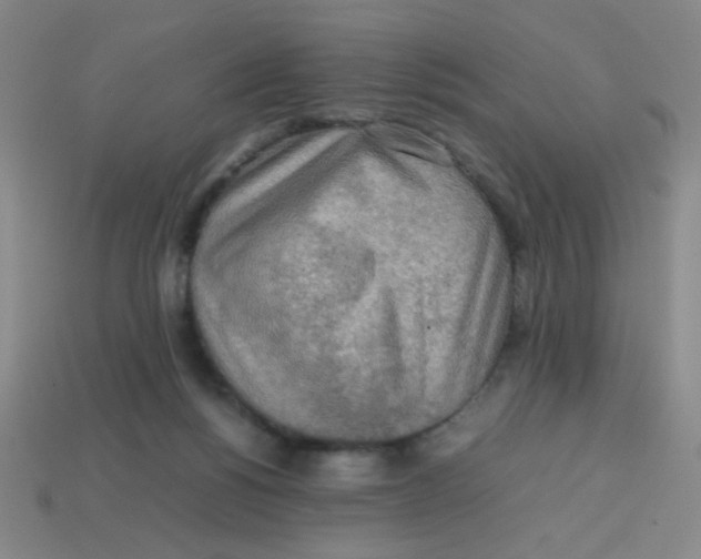 X0000113780168200910211213