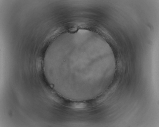 X0000113780169200910211213